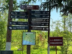 -合肥滨湖国家森林公园