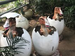 -呀路古热带植物园