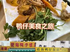 -霞海鸭仔饭店(海滨大道北店)