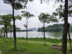 -飞来湖湿地公园