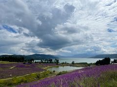 -华侨城阳宗海海景温泉