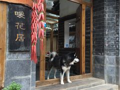 -浔岚云舍mist静谧观景美宿(丽江古城店)
