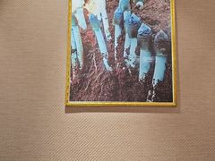 -菌之家·专业纯野生菌火锅·特色炒菌