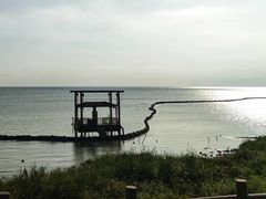 -合肥滨湖国家森林公园