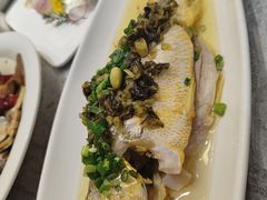 -老绍兴养和饭店(向阳不夜城店)