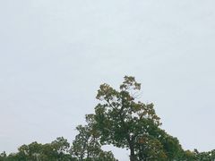 -东方绿舟景区