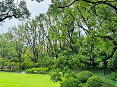 -申粤轩酒楼·三十年粤菜经典(丁香花园店)