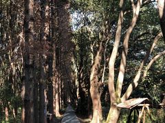 -同里国家湿地公园