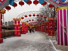 -沈阳奥体冰雪嘉年华