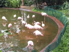 -九龙公园