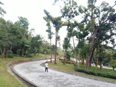 -炮台山公园