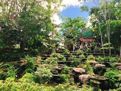 -绿光森林餐厅