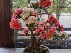 -钱王祠