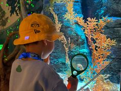 -沈阳海洋探索中心