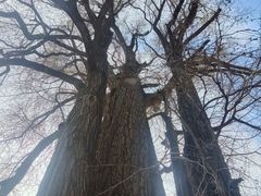 -潭柘寺景区