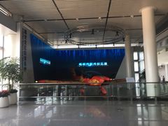 -长沙黄花国际机场-T1航站楼