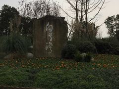 -白鹭湾湿地公园