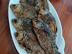-独流饭店(静海区国土资源分局西)