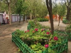 -太阳宫公园
