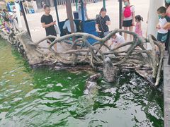 -华夏文旅海洋公园