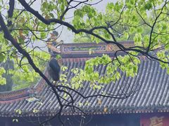 -阿育王寺