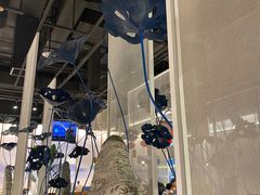 -新辣道鱼火锅(航天万源店)