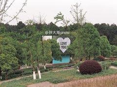 -铁山坪森林公园