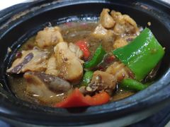 -杨铭宇黄焖鸡(下马坊店)