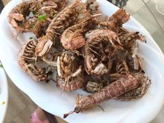 -阳光海鲜大排档