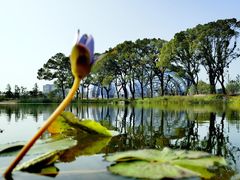 -上海植物园-4号门售票处