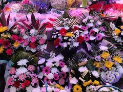 -花鸟鱼虫鲜花绿植市场(玉泉路店)