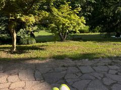 -上海共青森林公园