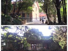 -叶家花园