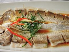 -九头鸟酒家(东高地店)