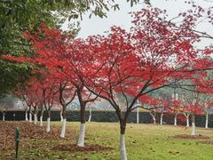 -辛亥革命博物院北区