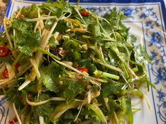 -石老头关东饺子王·东北菜(嘉华鑫城店)