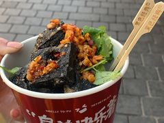 -黑色经典臭豆腐·湖南特产(坡子街店)