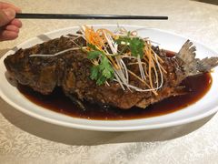 -椿记烧鹅(叠彩店)