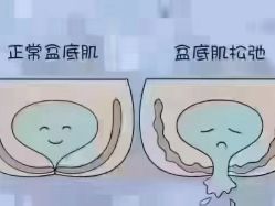 -纤思韵产后修复健康管理中心(顺义金街店)