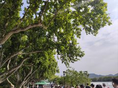 -浙江西湖美术馆