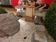 -汤泉良子(金源店)