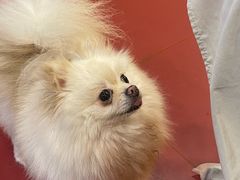 -和它·交个朋友·狗咖猫咖(爱琴海店)