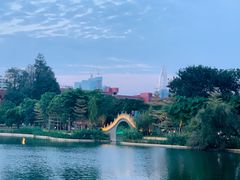 -四海公园(南山区)