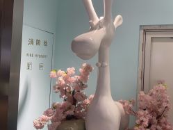 -小美汇美甲美睫美护