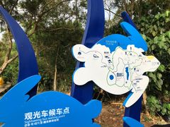 -广东惠东海龟国家级自然保护区