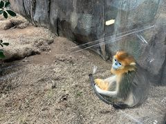 -香港海洋公园
