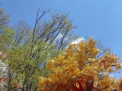 -九鼎铁刹山风景区
