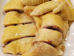 姜葱鸡-粤·向群饭店(泮塘路店)