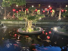 -河内西湖莲花自助餐厅