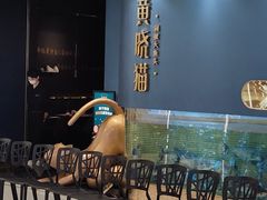 -黄晓猫剁椒大鱼头(海岸城店)